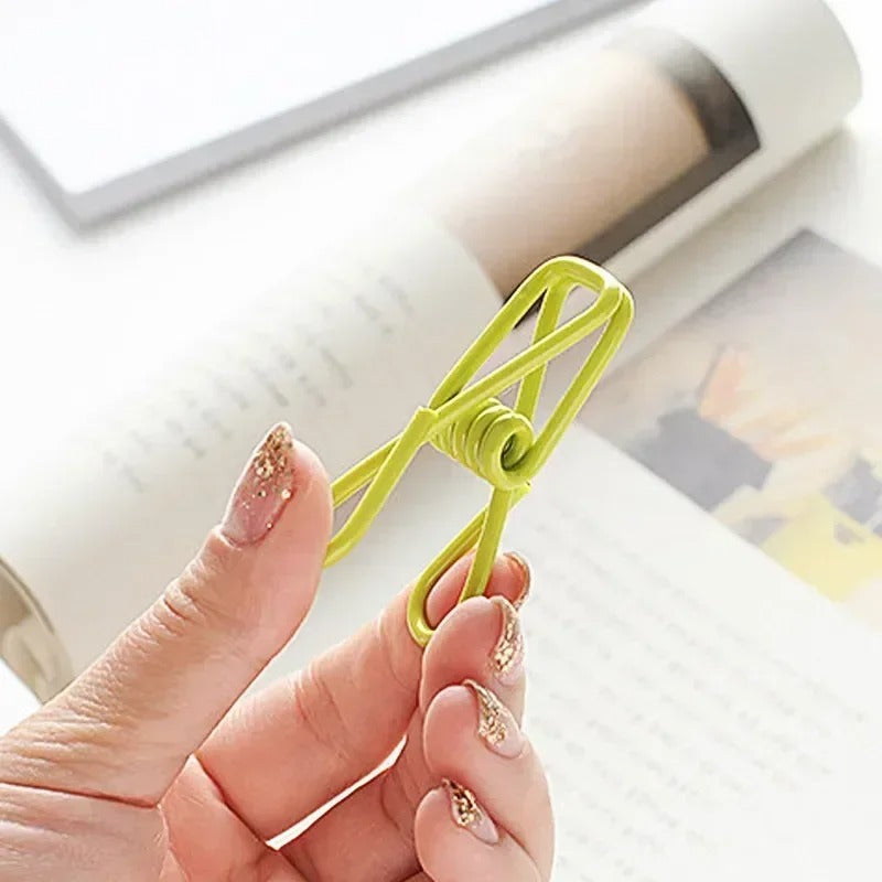Multipurpose Stainless Steel Clips Clothes Pins